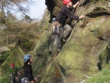 roaches201204012