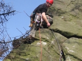 roaches201204014