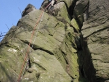roaches201204016