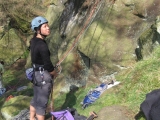 roaches201204017