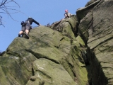 roaches201204019