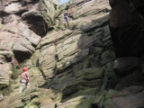 roaches201204023