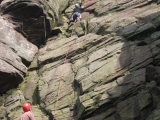 roaches201204024