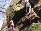 roaches201204026