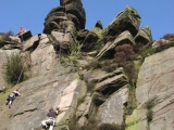 roaches201204035