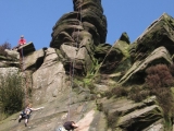 roaches201204036