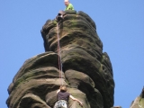 roaches201204037