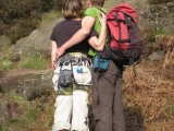 roaches201204039
