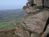 roaches201204042