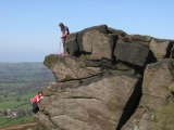 roaches201204043