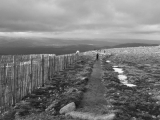 scotland201202017