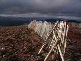 scotland201202040