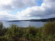 1_DSC00016