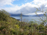 DSC00018