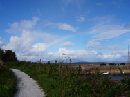 DSC00050