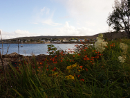 DSC00070