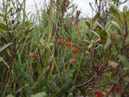 DSC00106