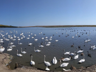 PXL_20210718_144836109.PANO_